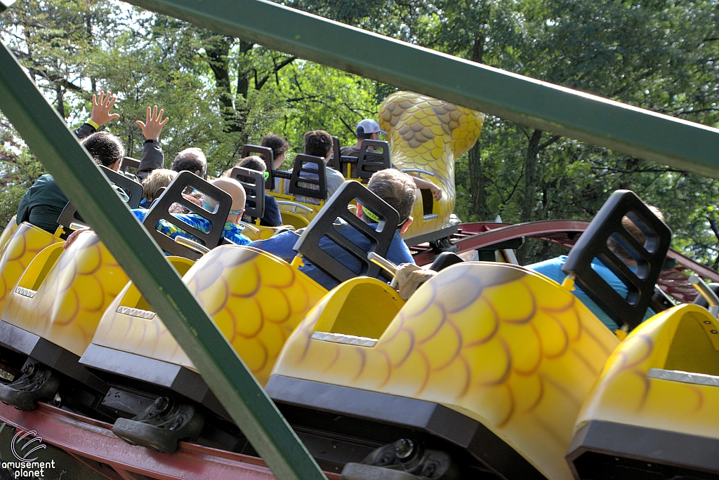Rattlesnake Coaster
