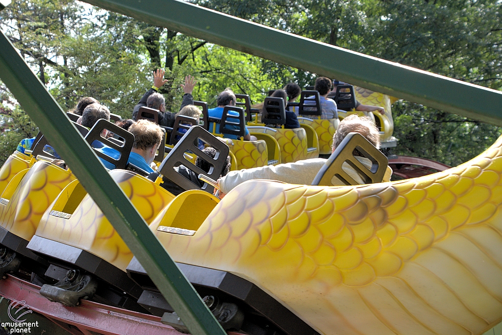 Rattlesnake Coaster