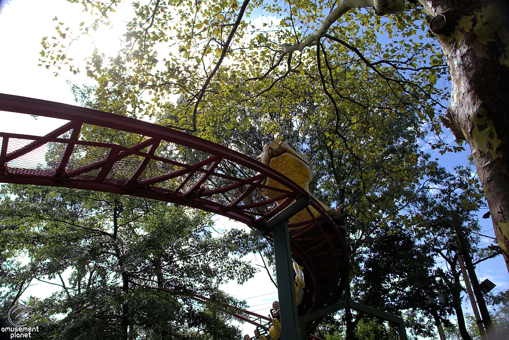 Rattlesnake Coaster