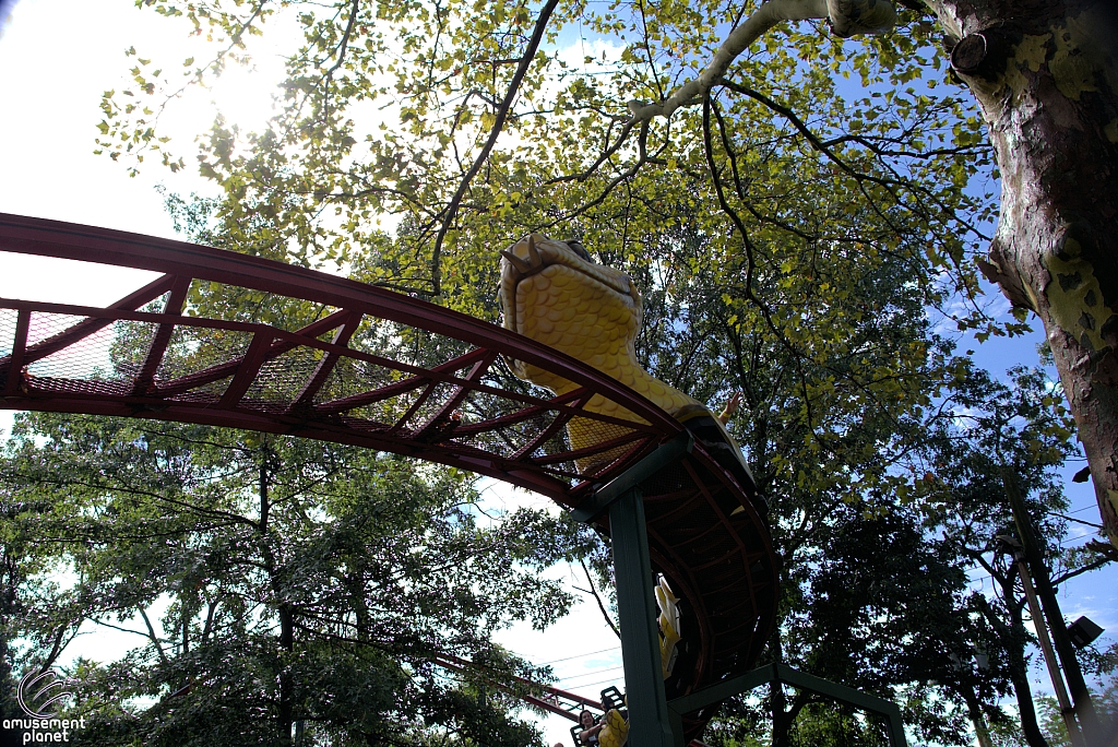 Rattlesnake Coaster