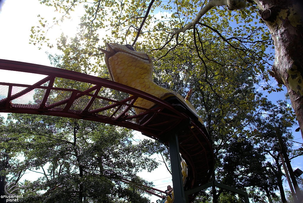 Rattlesnake Coaster