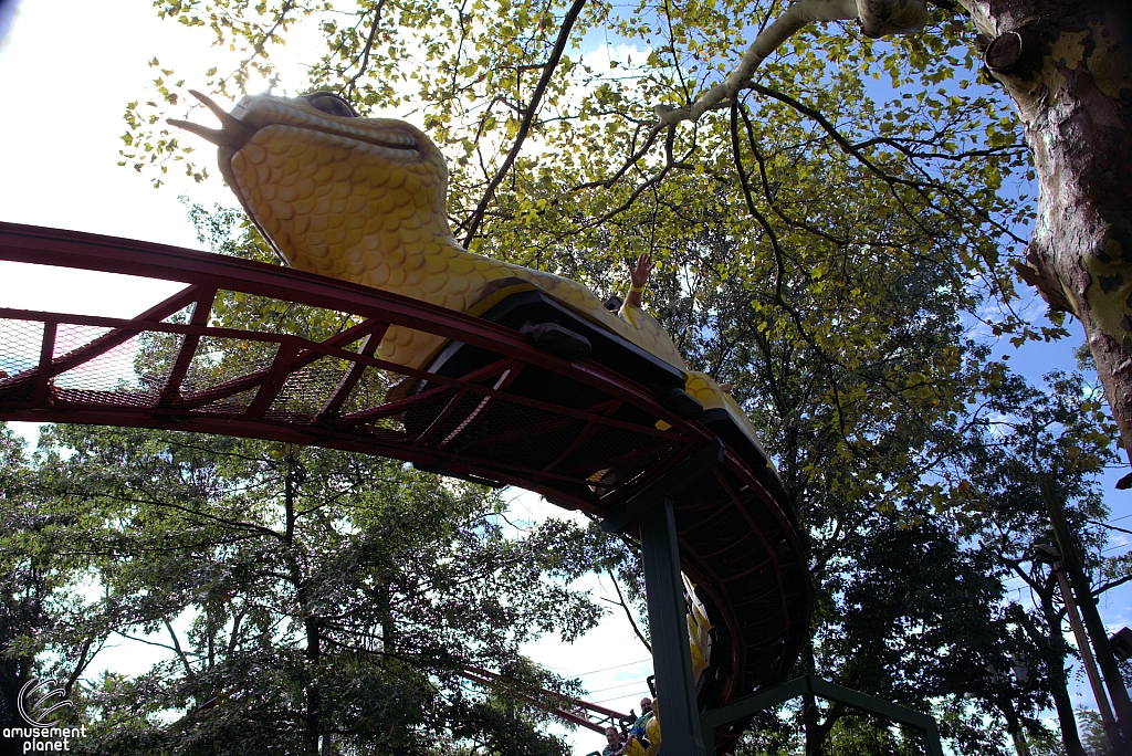 Rattlesnake Coaster