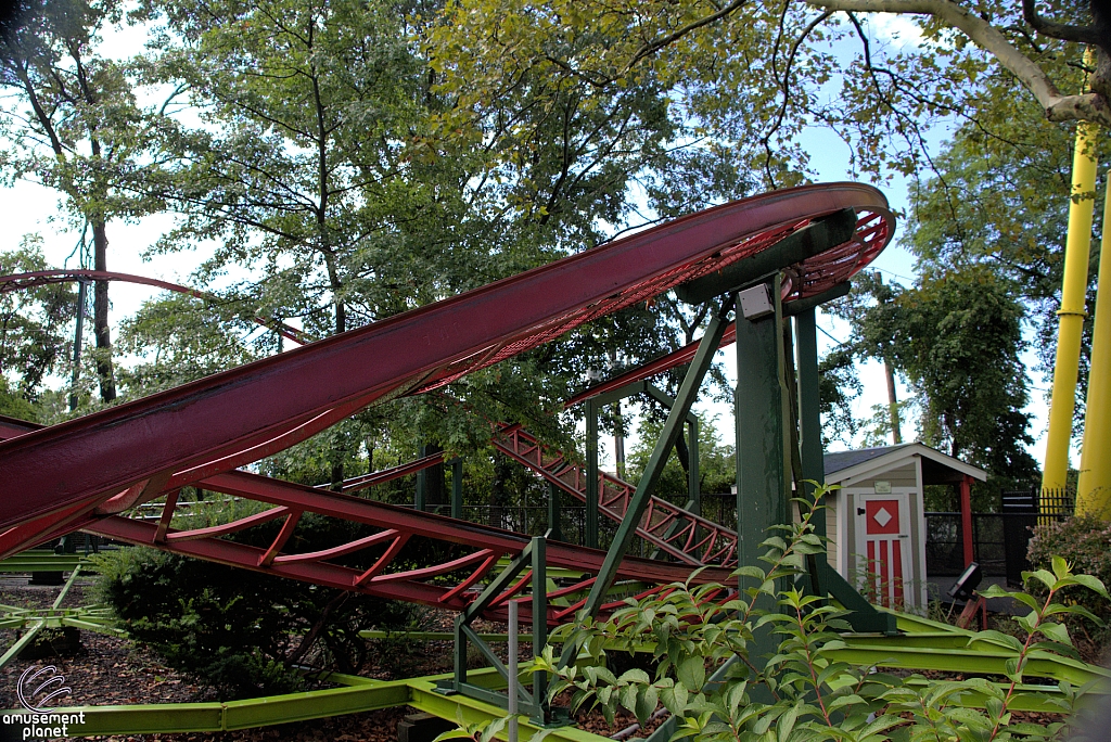 Rattlesnake Coaster