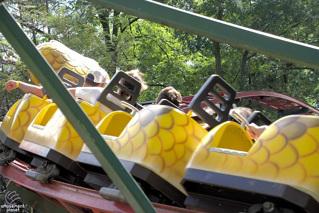 Rattlesnake Coaster