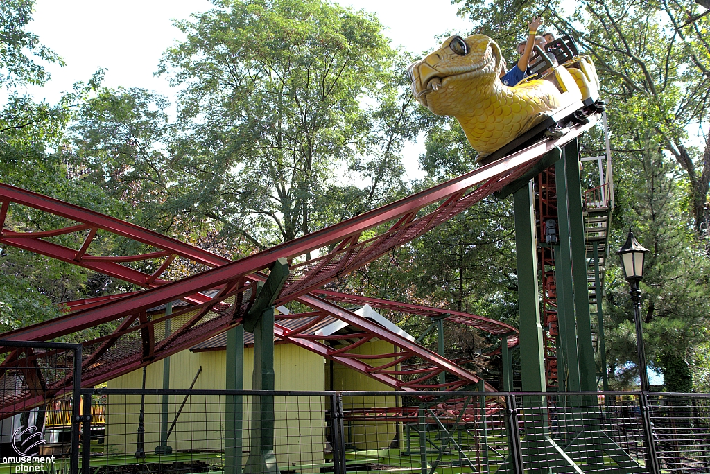 Rattlesnake Coaster
