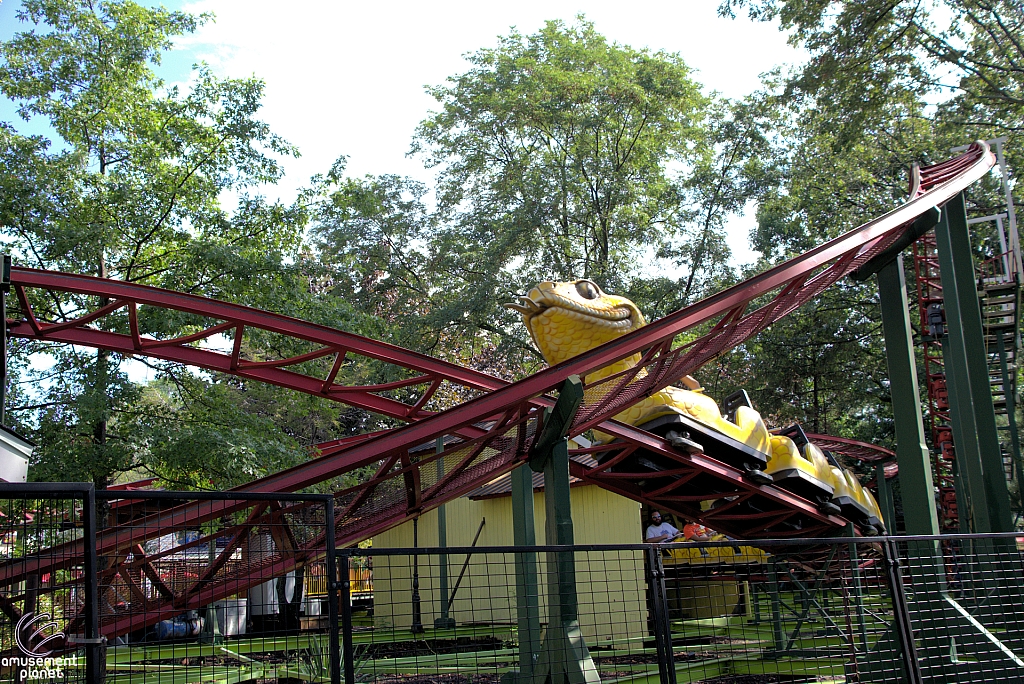 Rattlesnake Coaster