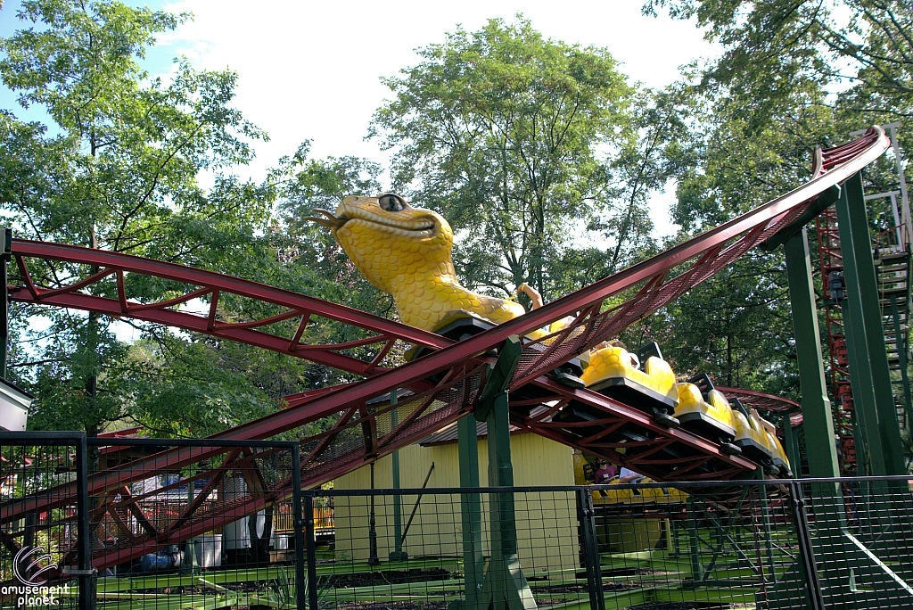 Rattlesnake Coaster