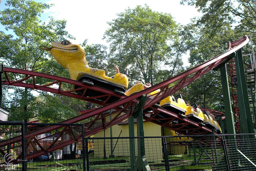 Rattlesnake Coaster