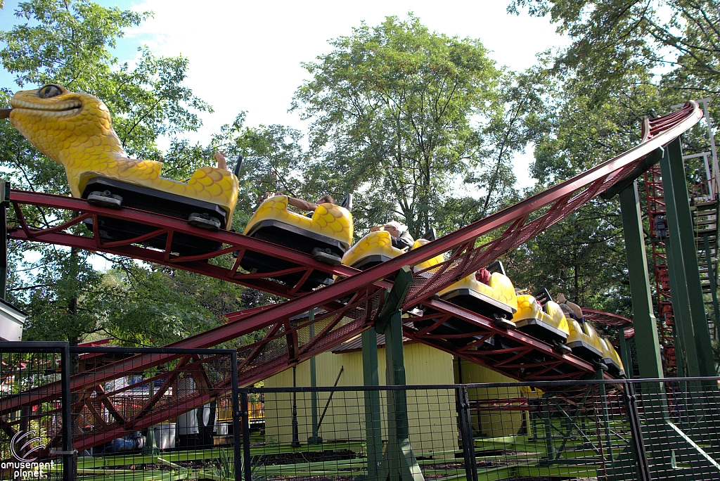 Rattlesnake Coaster