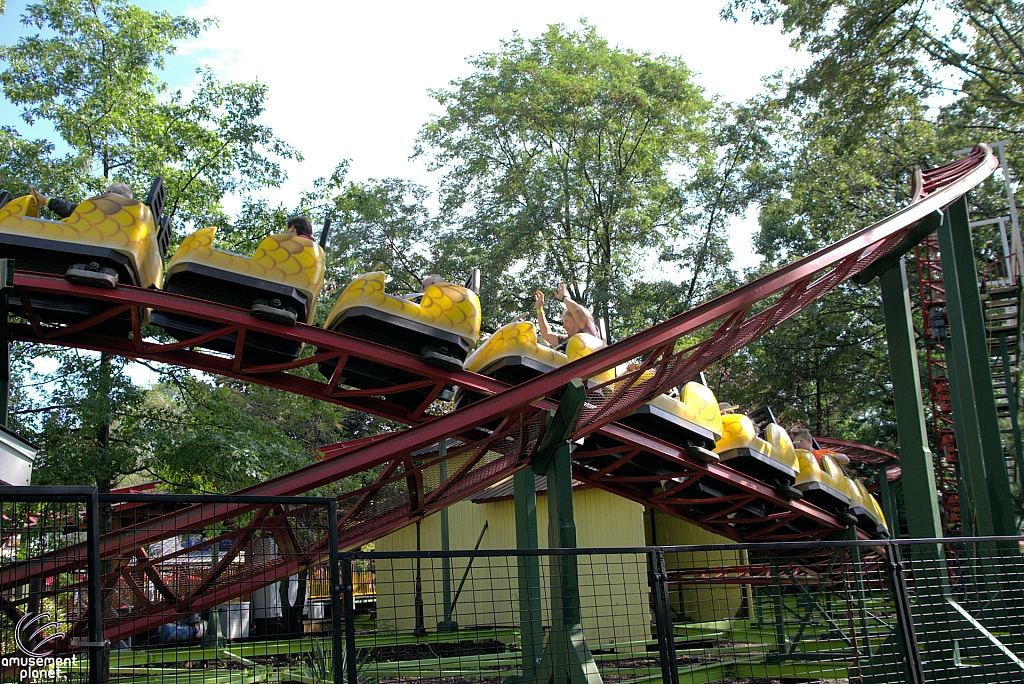 Rattlesnake Coaster