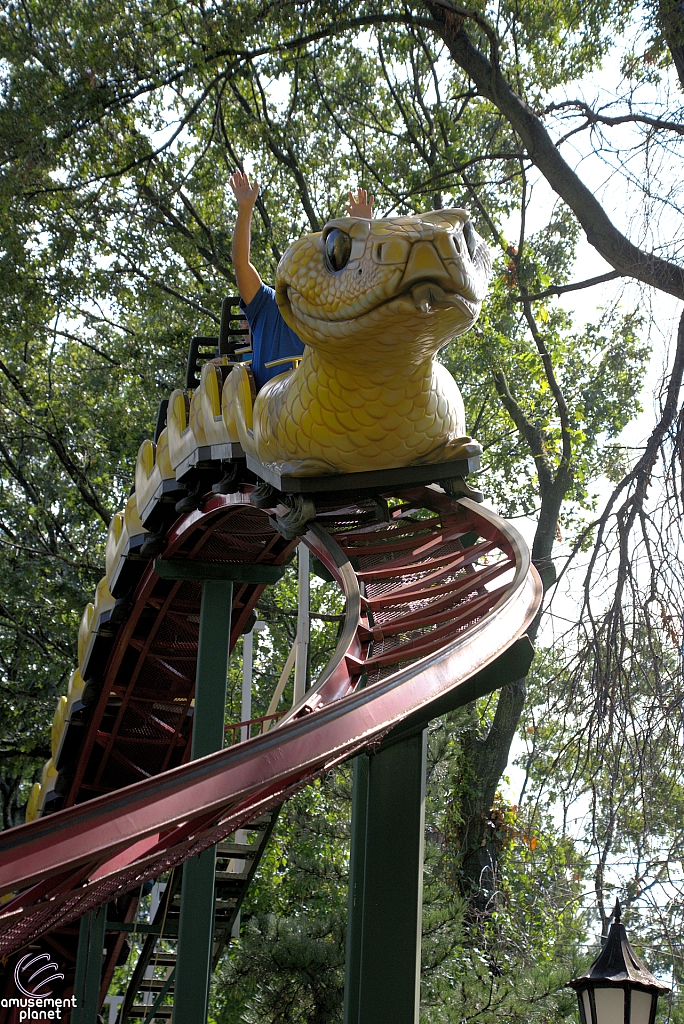 Rattlesnake Coaster