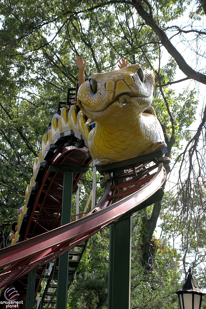 Rattlesnake Coaster