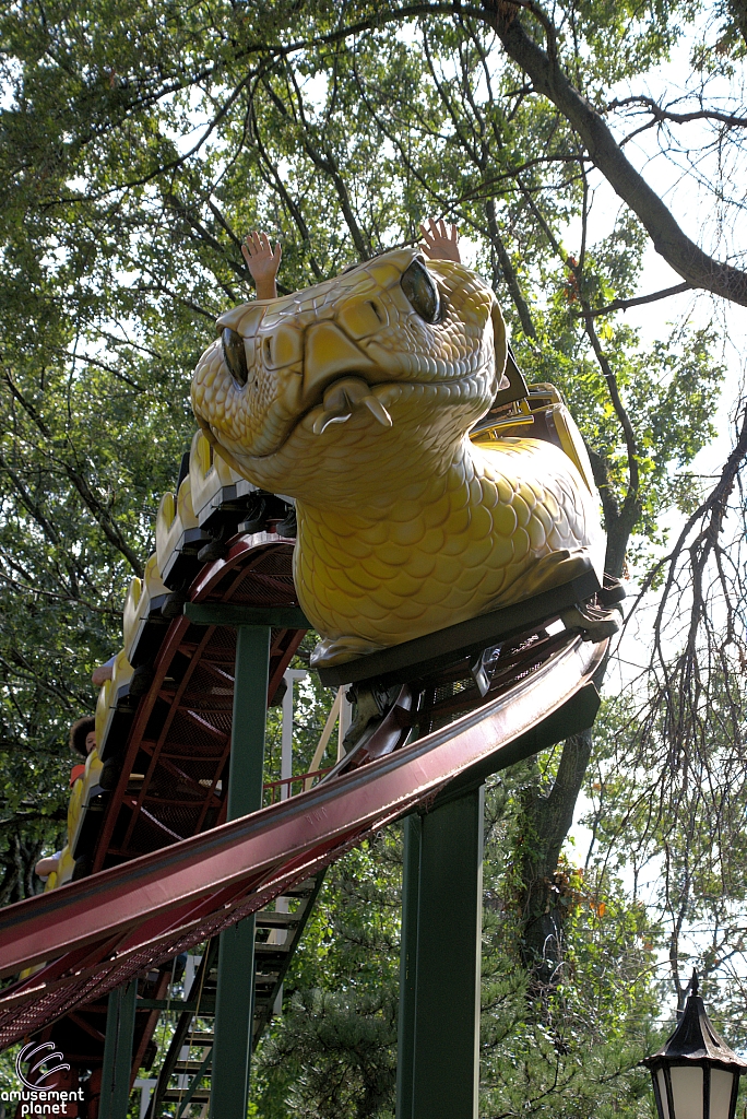 Rattlesnake Coaster