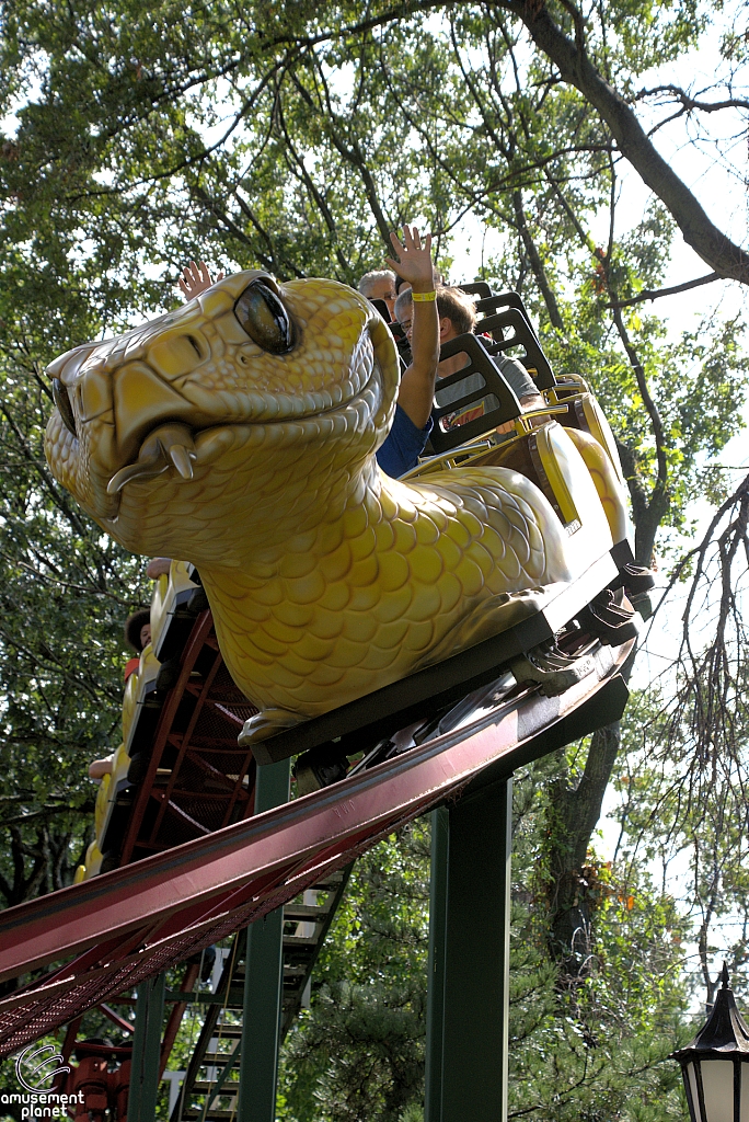 Rattlesnake Coaster