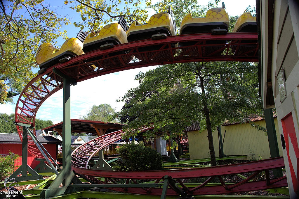 Rattlesnake Coaster