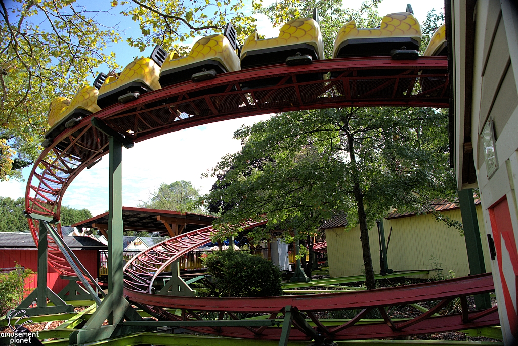 Rattlesnake Coaster