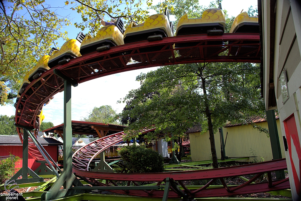 Rattlesnake Coaster