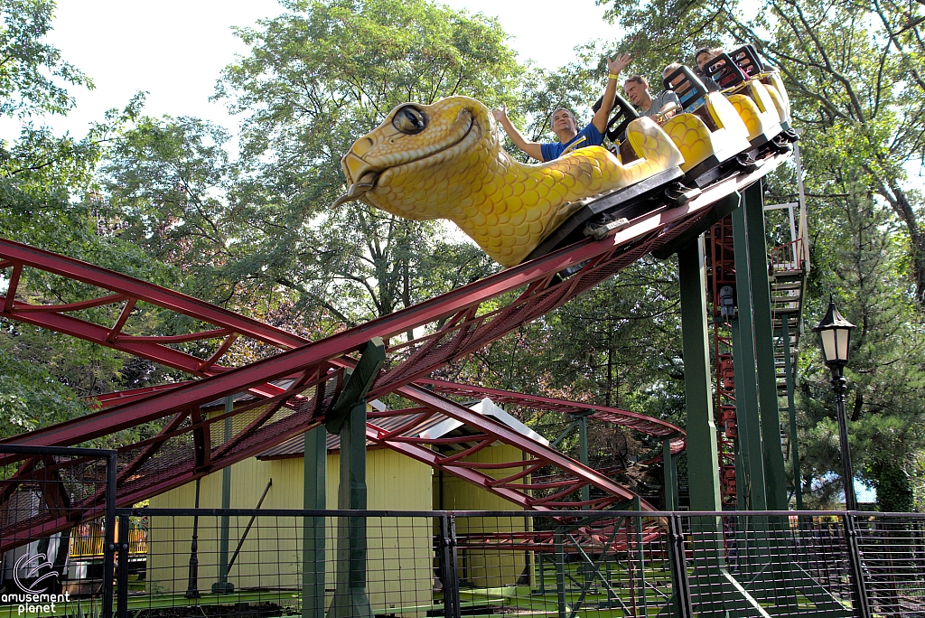 Rattlesnake Coaster