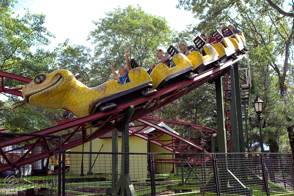 Rattlesnake Coaster