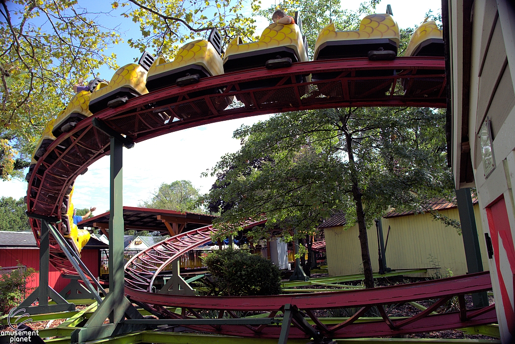 Rattlesnake Coaster