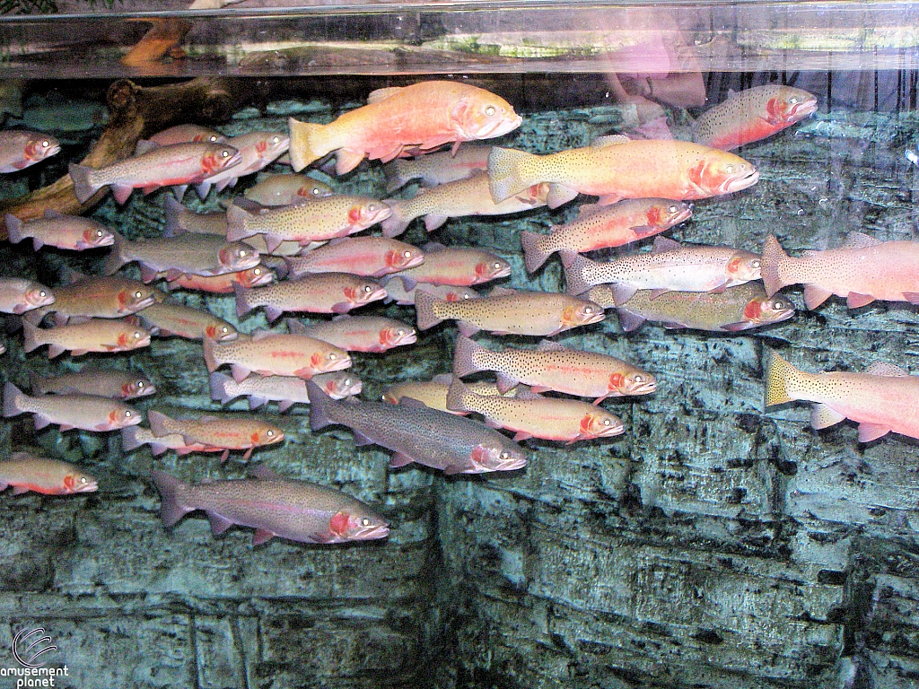 Downtown Aquarium - Denver