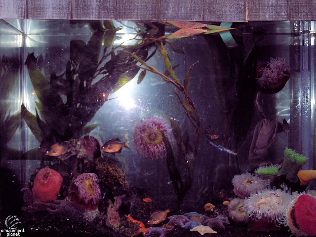 Downtown Aquarium - Denver
