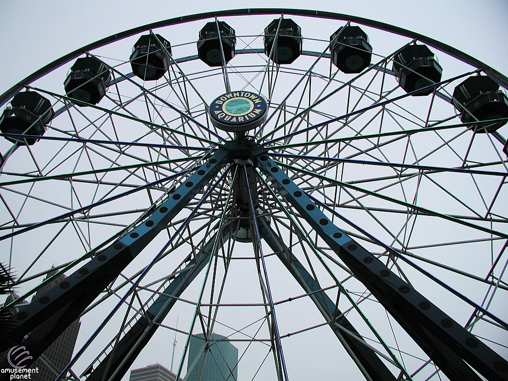 Diving Bell Ferris Wheel