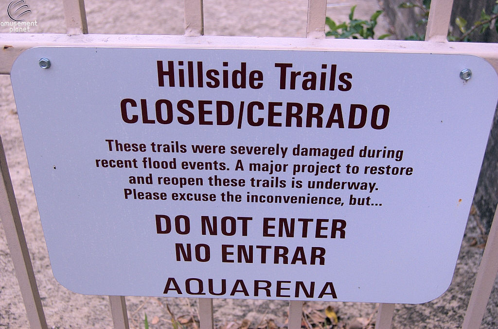 Aquarena Springs