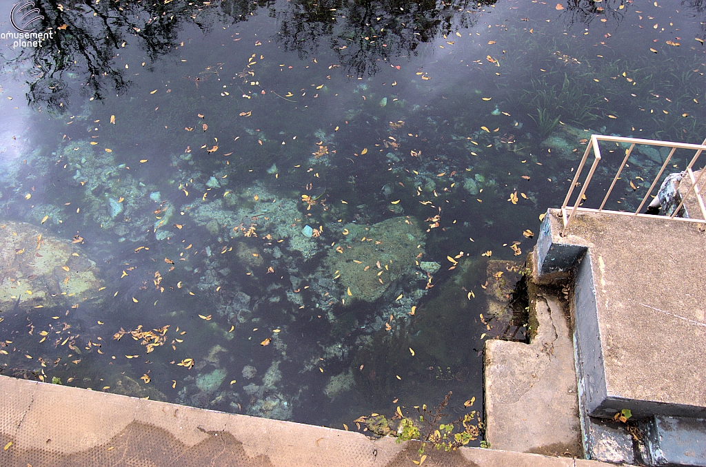 Aquarena Springs