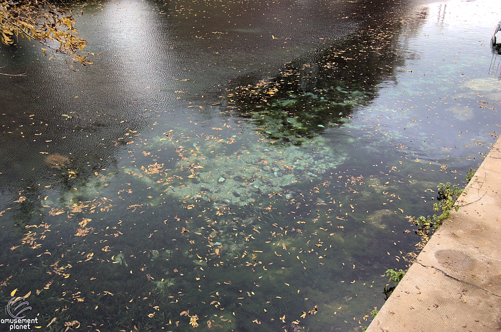 Aquarena Springs