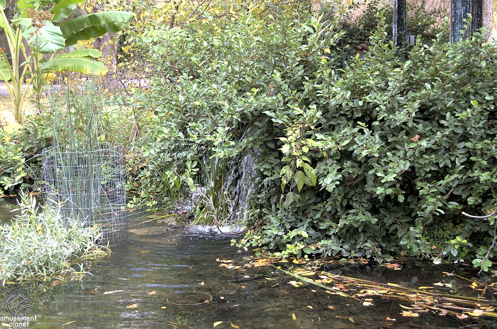 Aquarena Springs