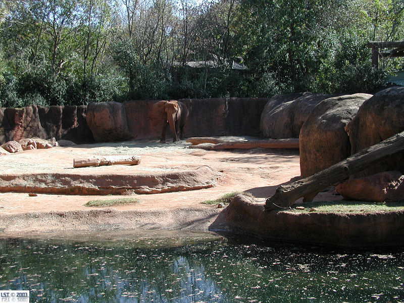 Zoo Atlanta