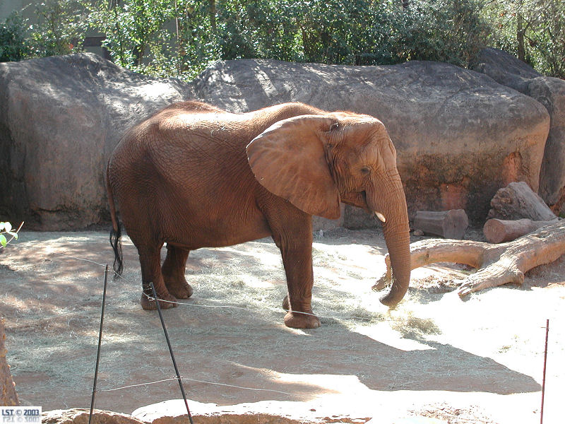 Zoo Atlanta