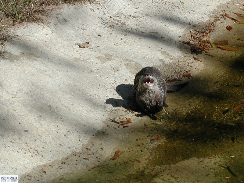 Zoo Atlanta