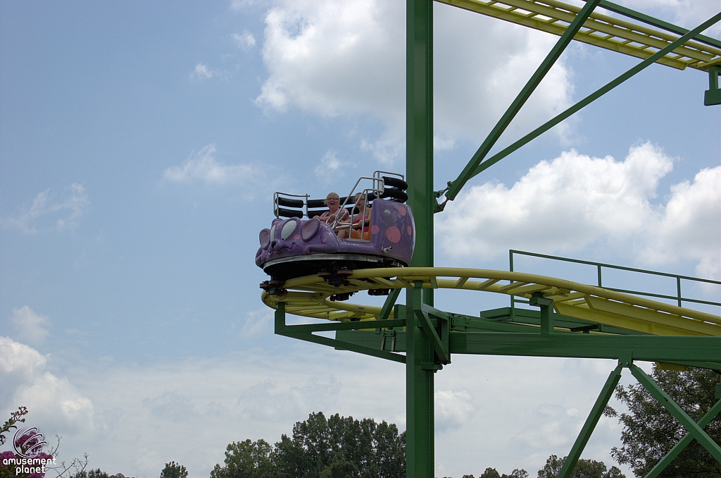 Wild Mouse