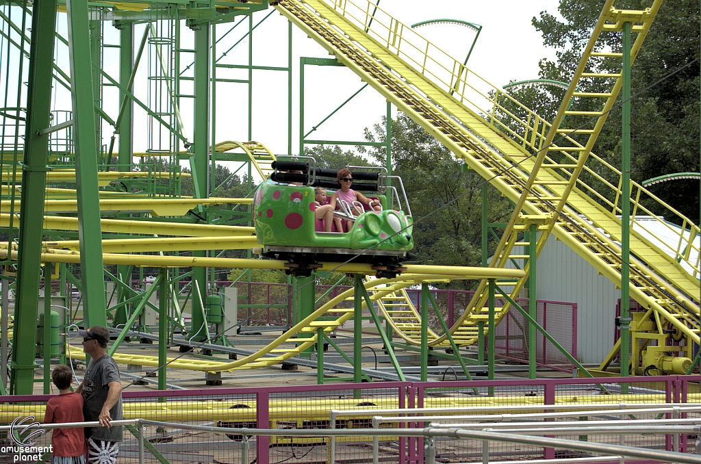 Wild Mouse