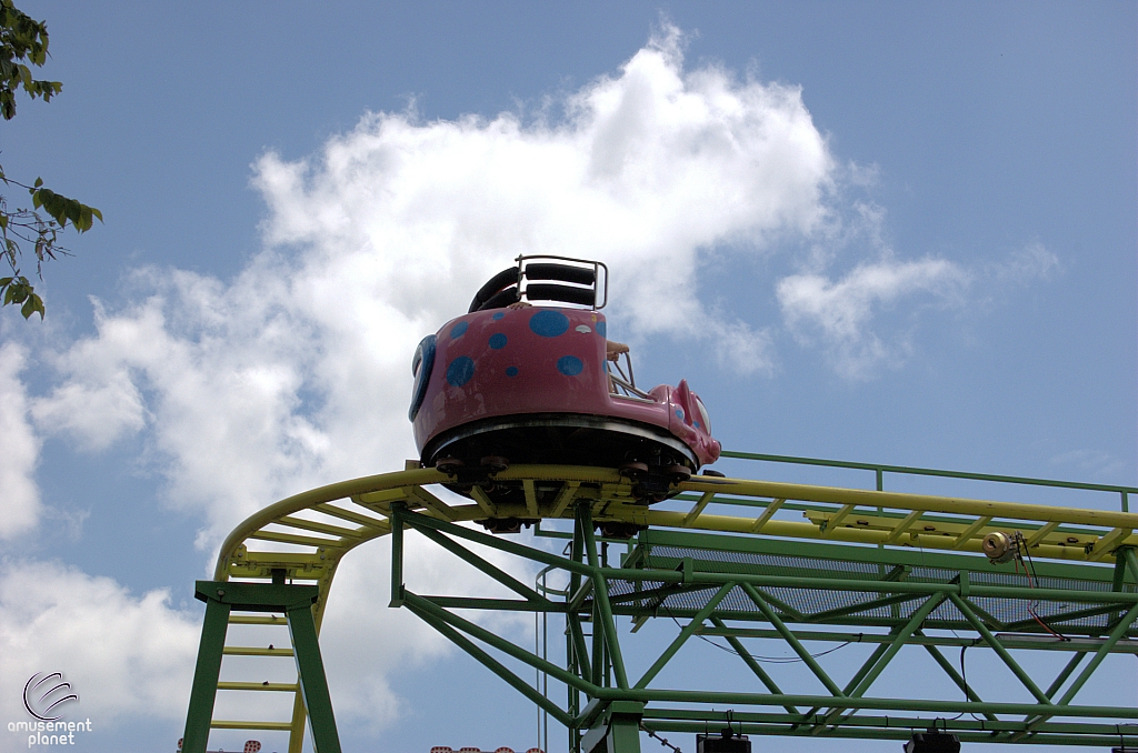 Wild Mouse