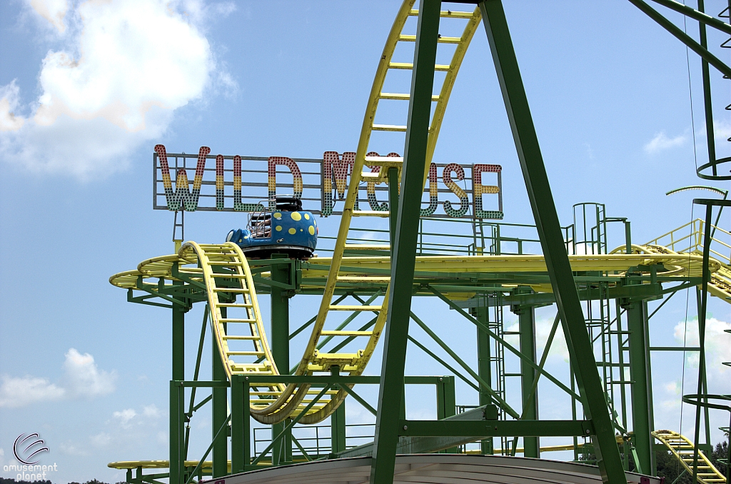 Wild Mouse