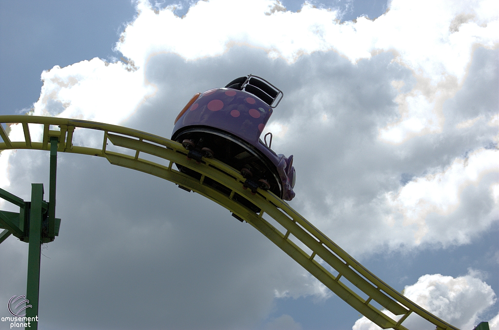 Wild Mouse