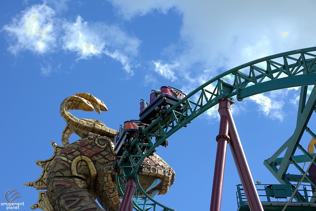 Cobra's Curse