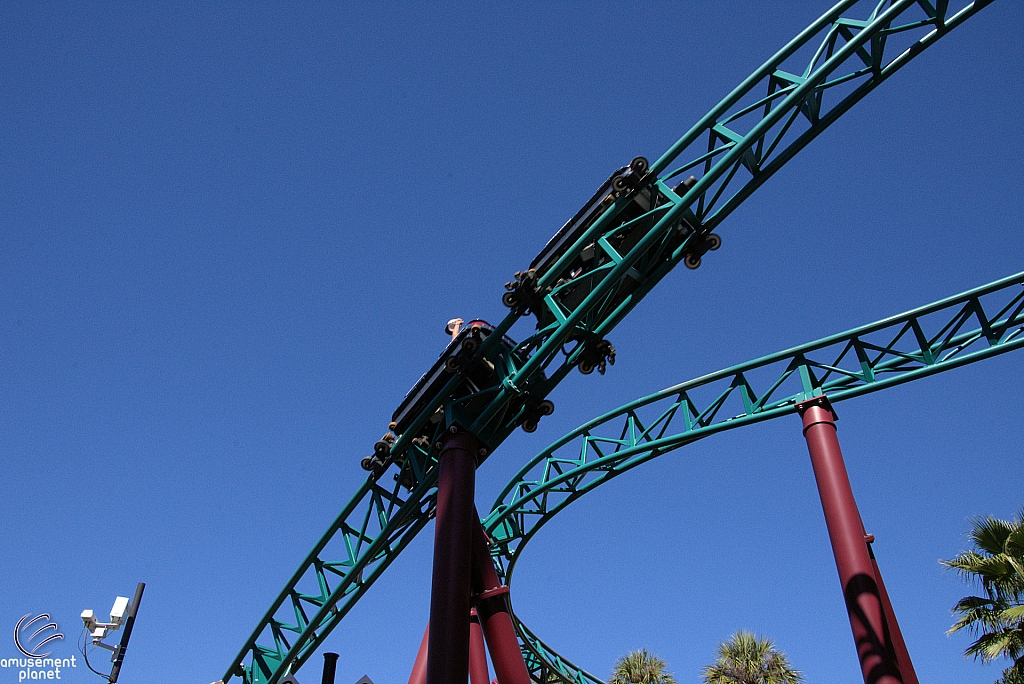 Cobra's Curse