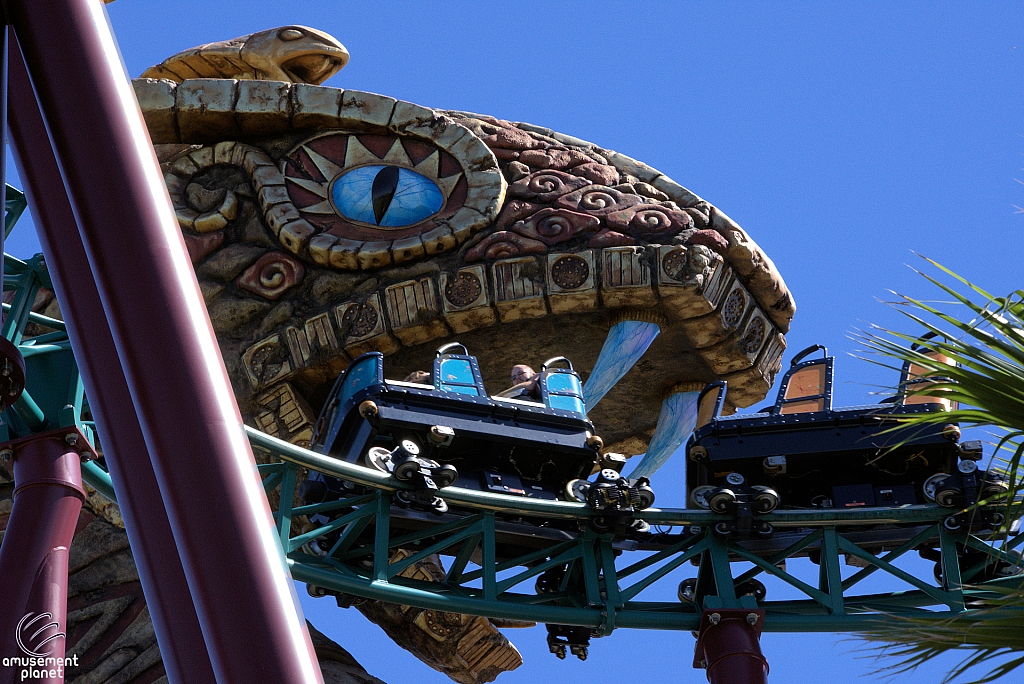 Cobra's Curse