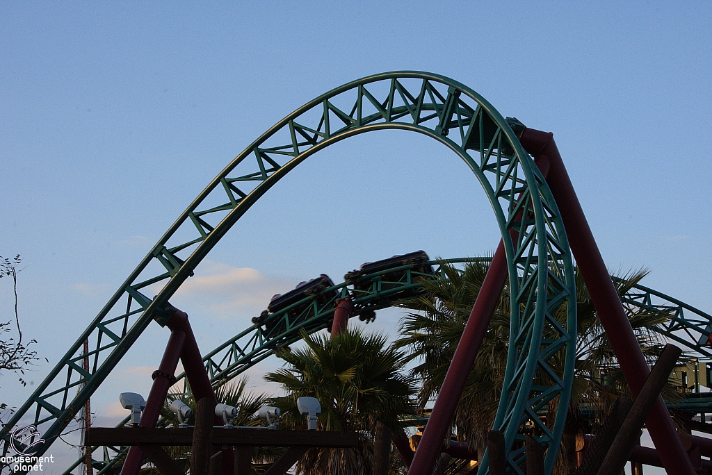 Cobra's Curse