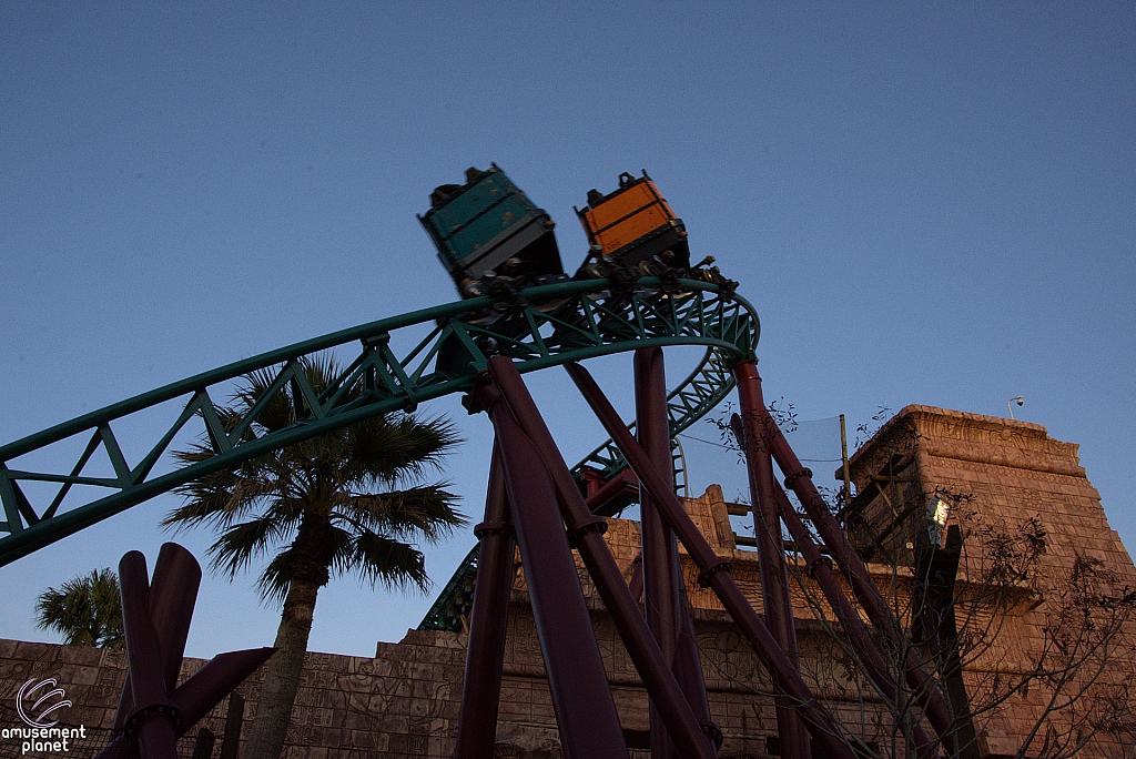 Cobra's Curse