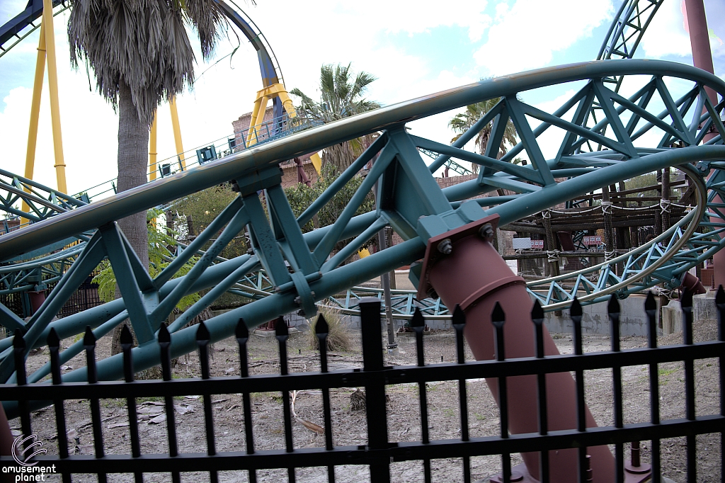 Cobra's Curse