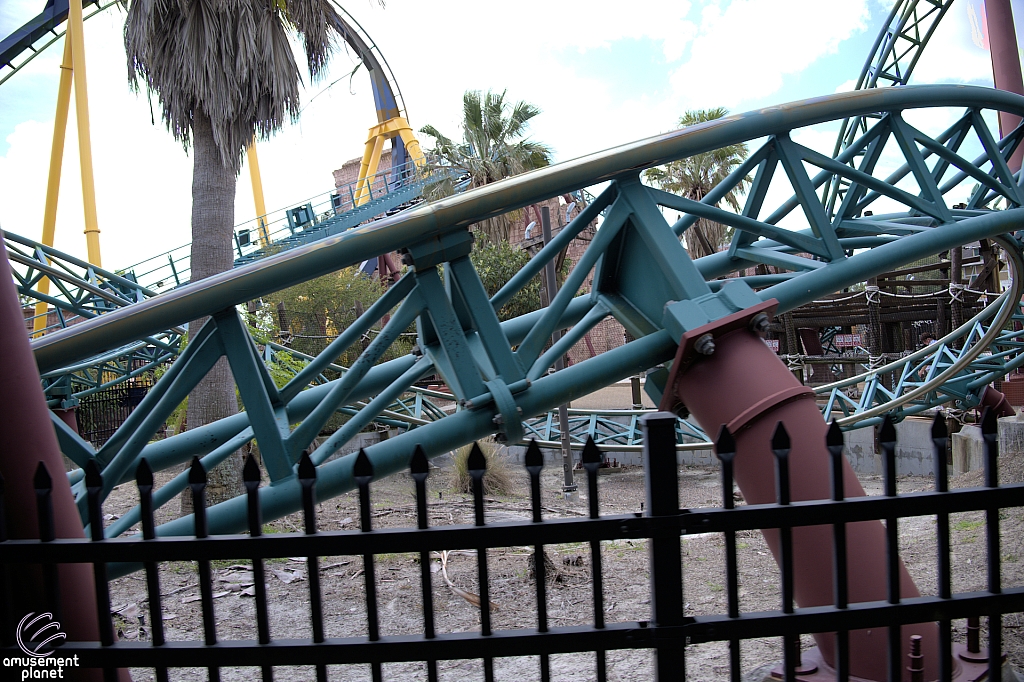 Cobra's Curse
