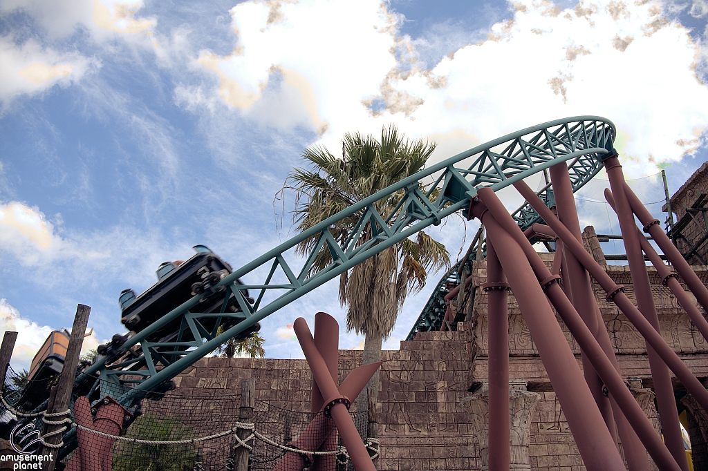 Cobra's Curse