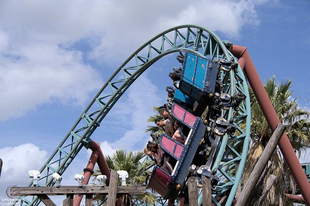 Cobra's Curse