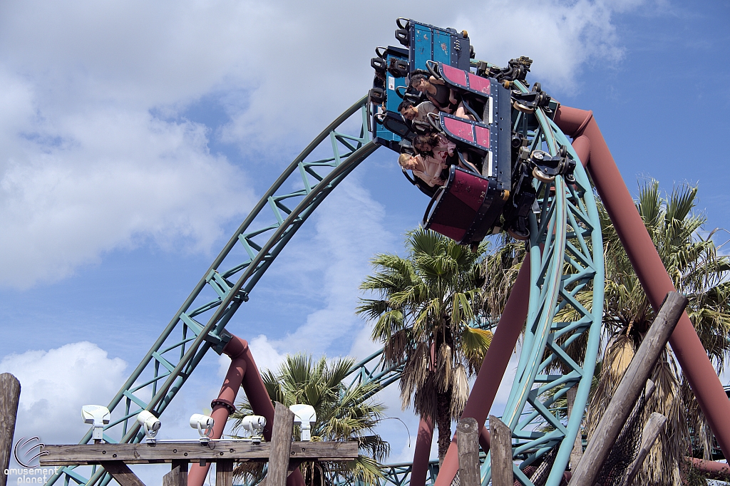 Cobra's Curse