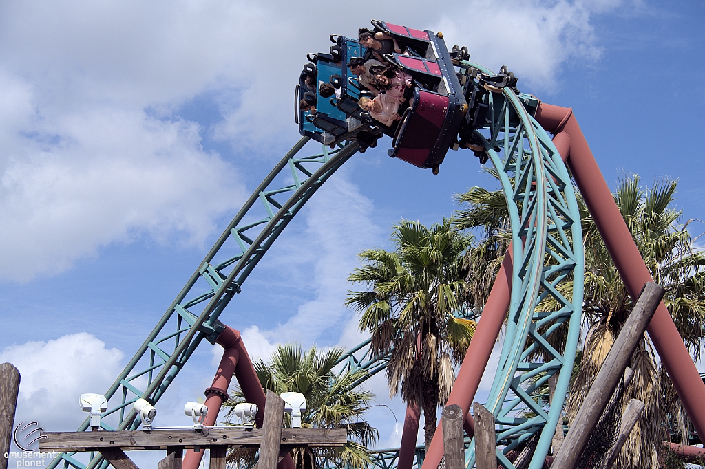 Cobra's Curse